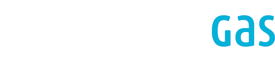 Levix Gas Logo